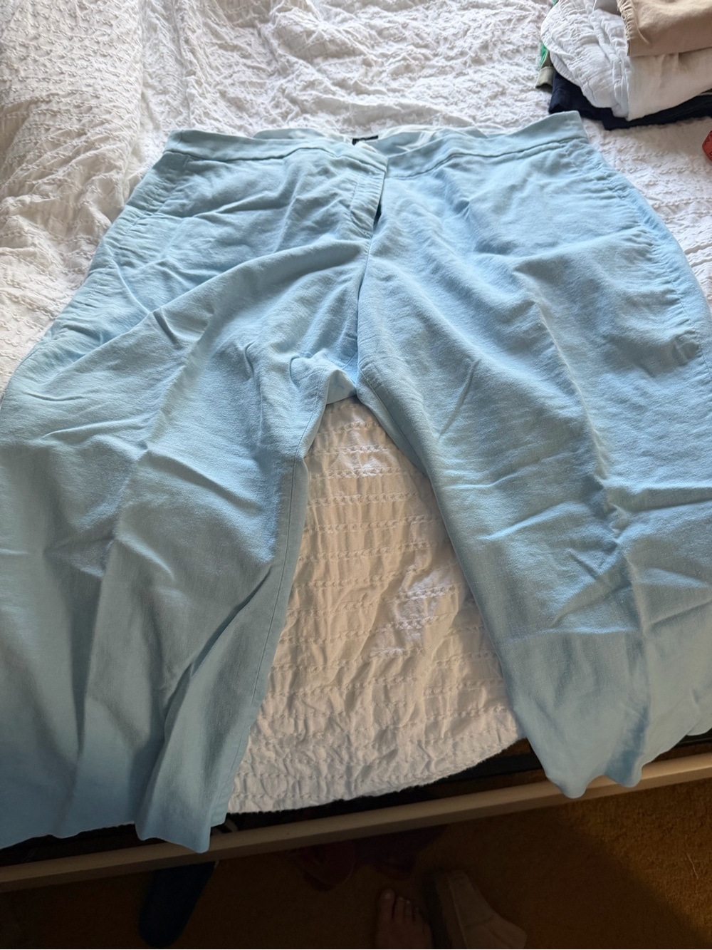 J. Crew Kelsey Pant in Pale Blue
